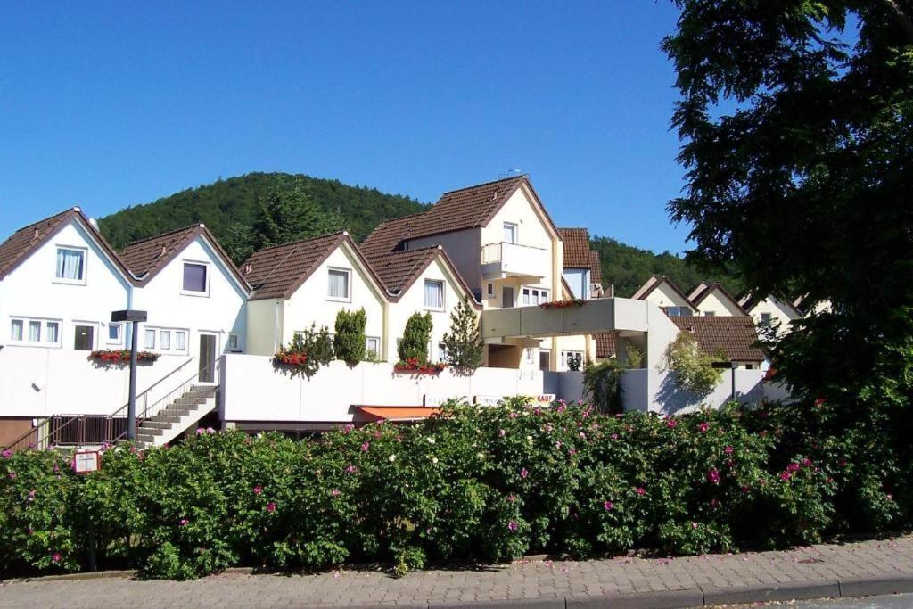 Helle 93M2 Fewo Mit 2 Schlafzimmern Am Edersee Scheid  Buitenkant foto